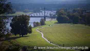 Riesige Monster in der Elbe – sie nehmen Kurs auf Deutschland