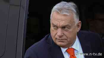 Zweifel an Glaubwürdigkeit: Orban besucht Georgien nach umstrittener Wahl