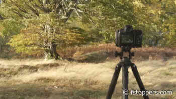 Is Wind Bad or Good for Fall Foliage Photography?
