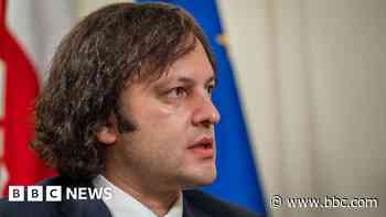 Georgia PM rejects vote-rigging claims as president calls mass rally