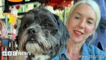 Body found confirmed as missing woman Joanne Jones