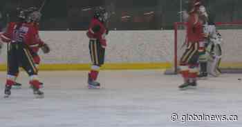 Hockey Canada report highlights need for more professional development in women’s hockey