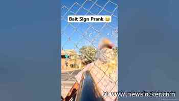 His Dad is a Congressman 😂 #Pranks #JoeySalads #ViralVideos