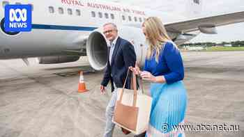 Labor minister says PM 'hasn't played favourites' with Qantas despite flight perks