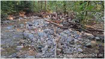 Kompromiss zum Weißenbach: Gemeinde Frasdorf darf nun Kies und Geröll aus dem Biotop räumen