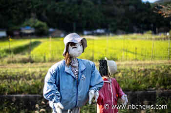 'Outnumbered by puppets': Depopulated village in Japan crafts dolls for sense of life