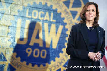 In Michigan, Democratic enthusiasm competes with disaffection