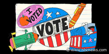 A (sort-of) illustrated guide to the voting systems of three crucial swing states