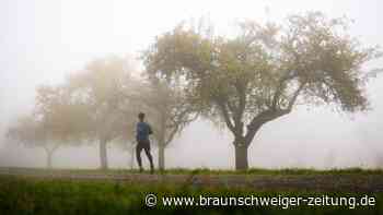 Niedersachsen: So wird das Wetter zum Wochenstart – und an Halloween