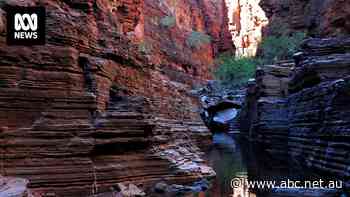 Miner to pursue legal action after WA government denies drilling near national park