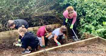 Thousands of schoolchildren to benefit from food growing scheme