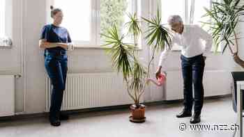 Wenn der Bürokollege zum Aktivisten wird: Ein Verband bildet jetzt Nachhaltigkeits-Influencer aus