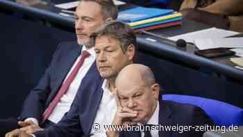 Scholz will weniger Theater – Experte spricht von „Tragödie“