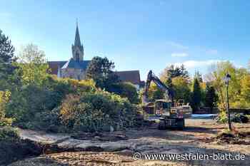 Scherfede: Baustart für neues Seniorenheim an der Zehntscheune