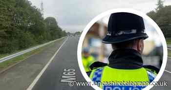 RECAP: Motorway open again as horse killed in crash and people injured