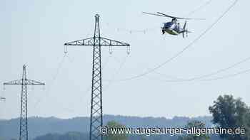 Vogelschutz in luftiger Höhe