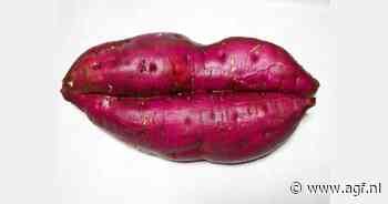 Fotowedstrijd groente met grappige vormen in Japans museum