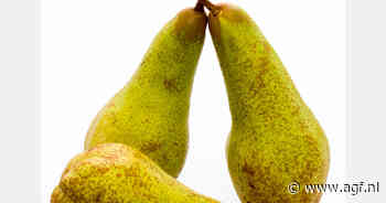 Perenoogst in Spaanse El Bierzo -10% en appeloogst -40%