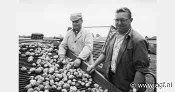 Uit de oude doos: In België bestaat de helft van de vroege aardappelen uit Première