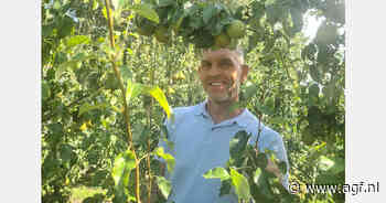 "Serieus geld voor laatst geplukte peren, hagelschade wordt goed geaccepteerd"