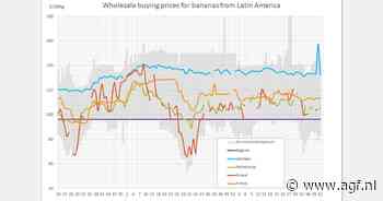 Dollarbananen op €207 per 100 kg in Spanje