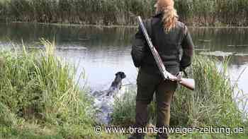 Jagdhunde-Ausbildung: Jährlich hunderte Enten getötet – sinnfrei?