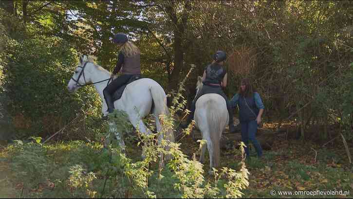 Almere - Ruiters worstelen met geblokkeerde routes in Almere: 'Kan gevaarlijk zijn'