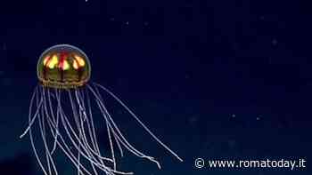 Quando la scienza fa spettacolo al Teatro Argentina