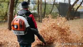 Gas-powered leaf blowers are noisy, polluting and harmful to our health. But are bans the best way to go?