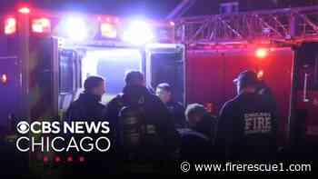 Chicago firefighter seriously injured after being struck by tree limb