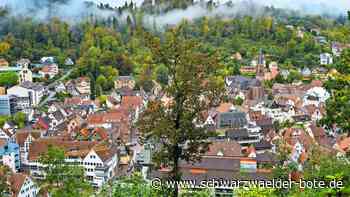 Grundsteuer in Calw: Es gibt Gewinner und heftige Verlierer