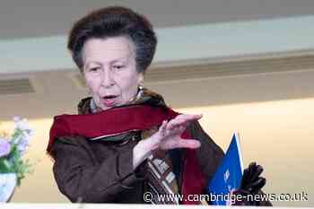 Princess Anne 'tipped over edge' after the royal was handed very racy title