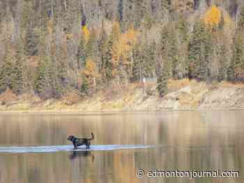 Edmonton weather: Chilly temperatures despite sunny skies