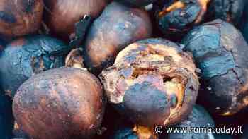 Festa della castagna a Riofreddo