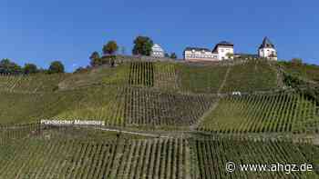 Wein: Winzer in der Krise