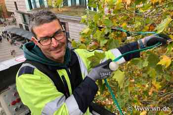Die Weihnachtsbeleuchtung wird früher aufgehängt – aus einfachem Grund