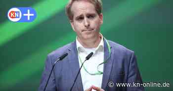 Warum Philipp Schmagold aus SH sich als Grünen-Bundeschef bewirbt