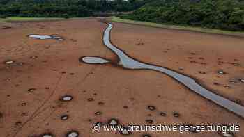 Amazonas droht Katastrophe – Forscher warnt vor Kipppunkt