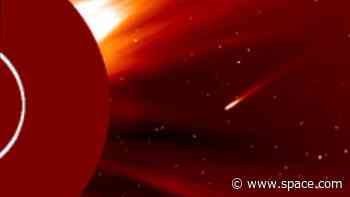 Watch comet ATLAS burn up as it flies into the sun (video)