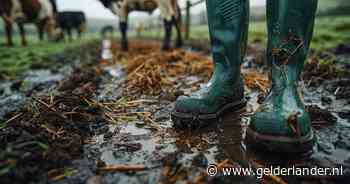 Geen bewijs dwangarbeid verstandelijk beperkte man op boerderij, wel steelt verdachte duizenden euro’s loon