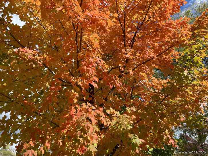 Rare late October 80s will challenge record highs