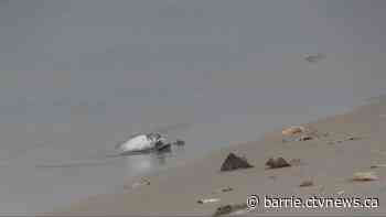 Toxic bacteria could be behind deaths of hundreds of birds washing up on shore