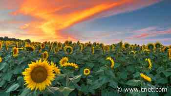 Best Solar Panel Installation Companies in Kansas