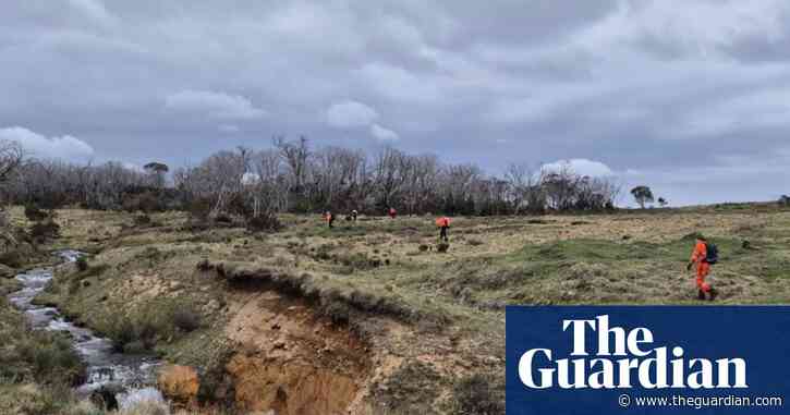 ‘Needle in a haystack’: how a six-day search for a missing woman in rugged Kosciuszko ended in relief