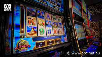 Advocates say nation-leading pokies reform at risk after Tasmanian Premier flags 'more measured approach'