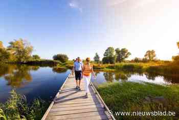 Schulensmeer biedt zowat alles wat een wandelaar verlangt: dieren spotten, avontuur en prachtige uitzichten