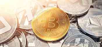 Anzahl der Bitcoin-Wale auf neuem Höchststand seit 2021: Steht die nächste große Rally bevor?