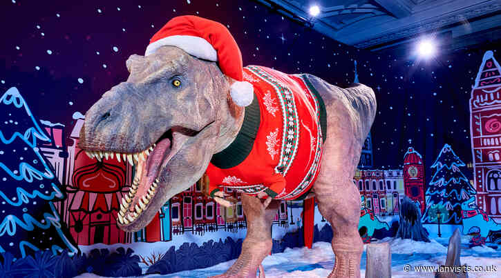 Tickets Alert: Christmas Lates at the Natural History Museum