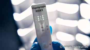 Vogelgrippe und humanes Influenza-Virus: Fachmann spricht von pandemischer Gefahr durch Virus-Kombination