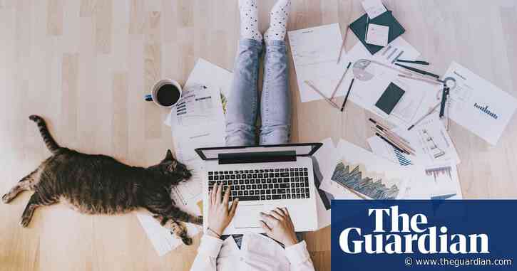 ‘I grew up with it’: readers on the enduring appeal of Microsoft Excel